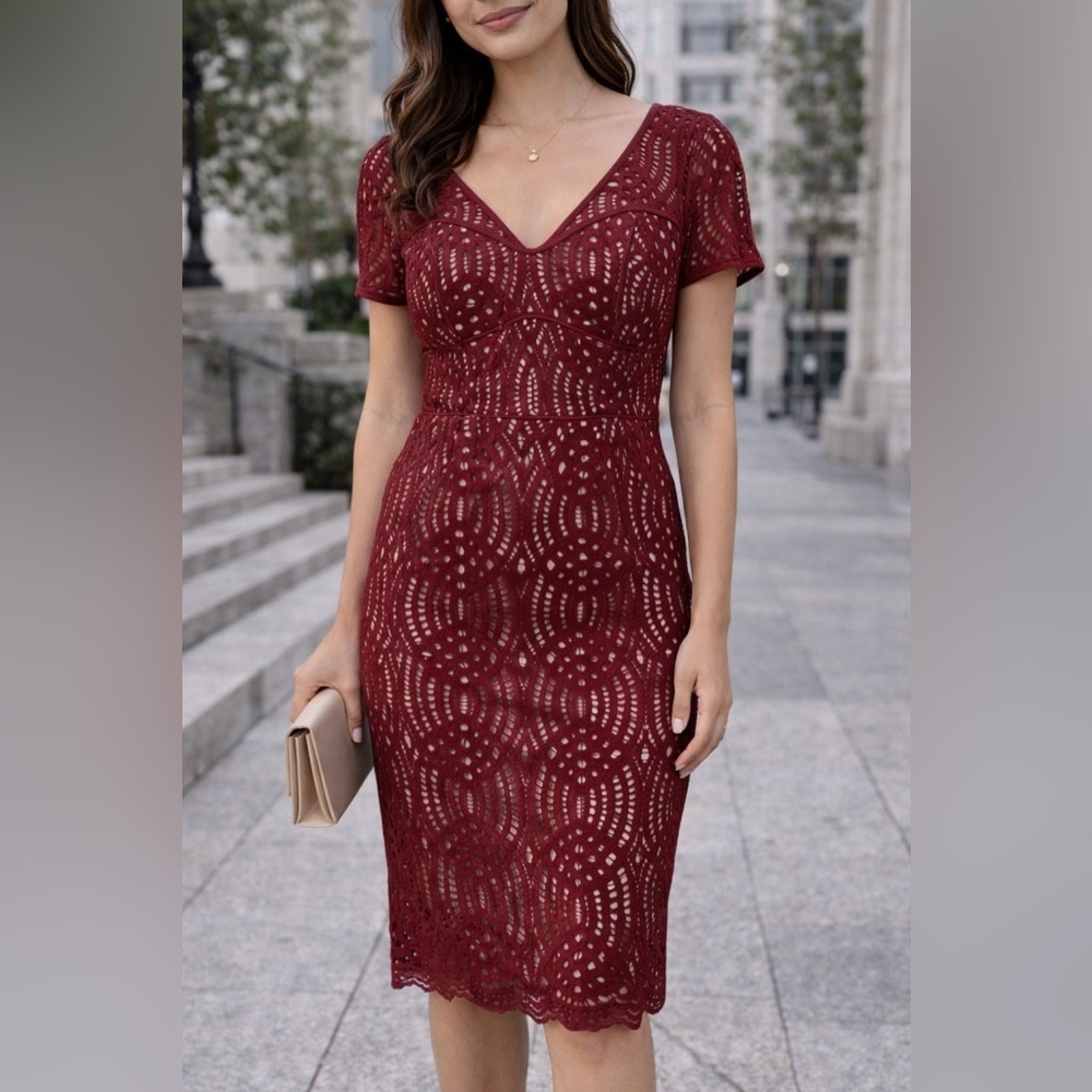 NUE by Shani Blue Label Lace Dress Size 8 Wine Nude Sheath NWT